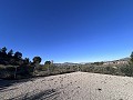 Wunderschöne Villa mit Pool und Bergblick in Petrer in Daft on Spain 