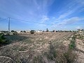 Spacious 5 Bedroom Villa in Dolores in Daft on Spain 