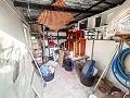 Spacious 5 Bedroom Villa in Dolores in Daft on Spain 