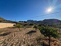 Villa with Panoramic Views and All Amenities Just a Step Away in Daft on Spain 