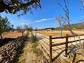 Schönes Landhaus mit Pool in Pinoso in Daft on Spain 