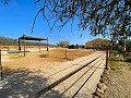 Schönes Landhaus mit Pool in Pinoso in Daft on Spain 