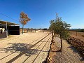 Schönes Landhaus mit Pool in Pinoso in Daft on Spain 