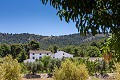 9 Bedroom Country Home in Daft on Spain 