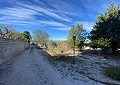  CountryHouse in Sax with 28.000m2 Plot in Daft on Spain 