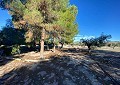  CountryHouse in Sax with 28.000m2 Plot in Daft on Spain 