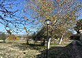 CountryHouse in Sax with 28.000m2 Plot in Daft on Spain 