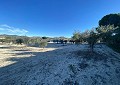  CountryHouse in Sax with 28.000m2 Plot in Daft on Spain 