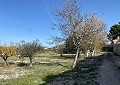  CountryHouse in Sax with 28.000m2 Plot in Daft on Spain 