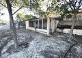  CountryHouse in Sax with 28.000m2 Plot in Daft on Spain 