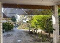  CountryHouse in Sax with 28.000m2 Plot in Daft on Spain 