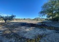  CountryHouse in Sax with 28.000m2 Plot in Daft on Spain 