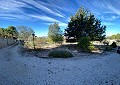 CountryHouse in Sax with 28.000m2 Plot in Daft on Spain 