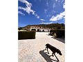 Beautiful Villa in Yecla in Daft on Spain 