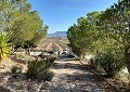 Villa in Sax with Incredible Views in Daft on Spain 