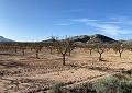 Villa in Sax with Incredible Views in Daft on Spain 