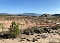 Villa in Sax with Incredible Views in Daft on Spain 