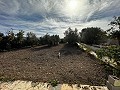 Lovely 7 Bed, 3 Bath Country House with private pool in Sax in Daft on Spain 
