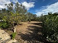 Lovely 7 Bed, 3 Bath Country House with private pool in Sax in Daft on Spain 