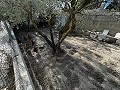Lovely 7 Bed, 3 Bath Country House with private pool in Sax in Daft on Spain 