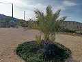 Incroyable villa moderne à Canada de la Lena in Daft on Spain 