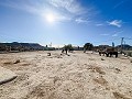 Charmante Villa met Zomerse Keuken en Gastenhuis op 15 Minuten van het Strand in Daft on Spain 