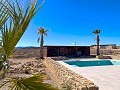 Superbe villa de 4 chambres et 2 salles de bains à Pinoso in Daft on Spain 