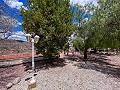 Magnifica villa con piscina en Hondon De Los Frailes in Daft on Spain 
