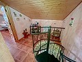 Magnifica villa con piscina en Hondon De Los Frailes in Daft on Spain 