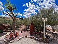 Magnifica villa con piscina en Hondon De Los Frailes in Daft on Spain 
