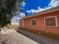 Magnifica villa con piscina en Hondon De Los Frailes in Daft on Spain 