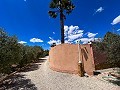 Magnifica villa con piscina en Hondon De Los Frailes in Daft on Spain 