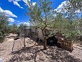 Magnifica villa con piscina en Hondon De Los Frailes in Daft on Spain 