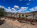 Magnifica villa con piscina en Hondon De Los Frailes in Daft on Spain 