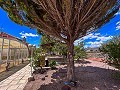 Magnifica villa con piscina en Hondon De Los Frailes in Daft on Spain 