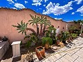 Magnifica villa con piscina en Hondon De Los Frailes in Daft on Spain 