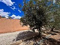 Magnifica villa con piscina en Hondon De Los Frailes in Daft on Spain 