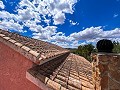 Magnifica villa con piscina en Hondon De Los Frailes in Daft on Spain 