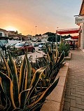 Fabulous Business Opportunity  in Daft on Spain 