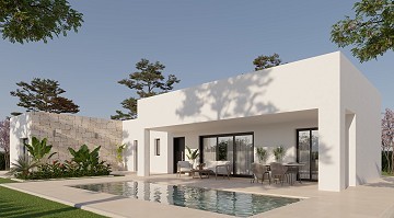 Wunderschöne neu gebaute moderne Villen