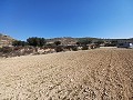 Lovely 3 Bedroom 2 Bathroom New build Villa land included in Torre del Rico.  in Daft on Spain 