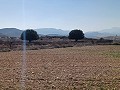 Lovely 3 Bedroom 2 Bathroom New build Villa land included in Torre del Rico.  in Daft on Spain 