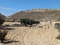 Lovely 3 Bedroom 2 Bathroom New build Villa land included in Torre del Rico.  in Daft on Spain 