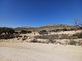 Lovely 3 Bedroom 2 Bathroom New build Villa land included in Torre del Rico.  in Daft on Spain 