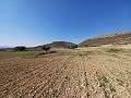Lovely 3 Bedroom 2 Bathroom New build Villa land included in Torre del Rico.  in Daft on Spain 