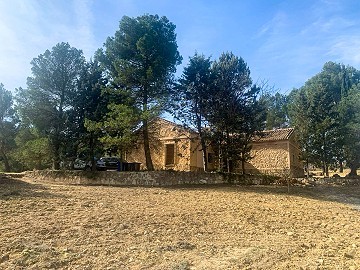 Magnificent Off-Grid Equestrian Farm in Almansa
