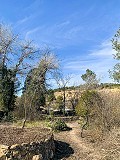 Magnificent Off-Grid Equestrian Farm in Almansa in Daft on Spain 