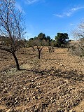 Magnificent Off-Grid Equestrian Farm in Almansa in Daft on Spain 