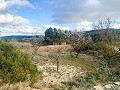 Magnificent Off-Grid Equestrian Farm in Almansa in Daft on Spain 