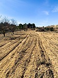 Magnificent Off-Grid Equestrian Farm in Almansa in Daft on Spain 